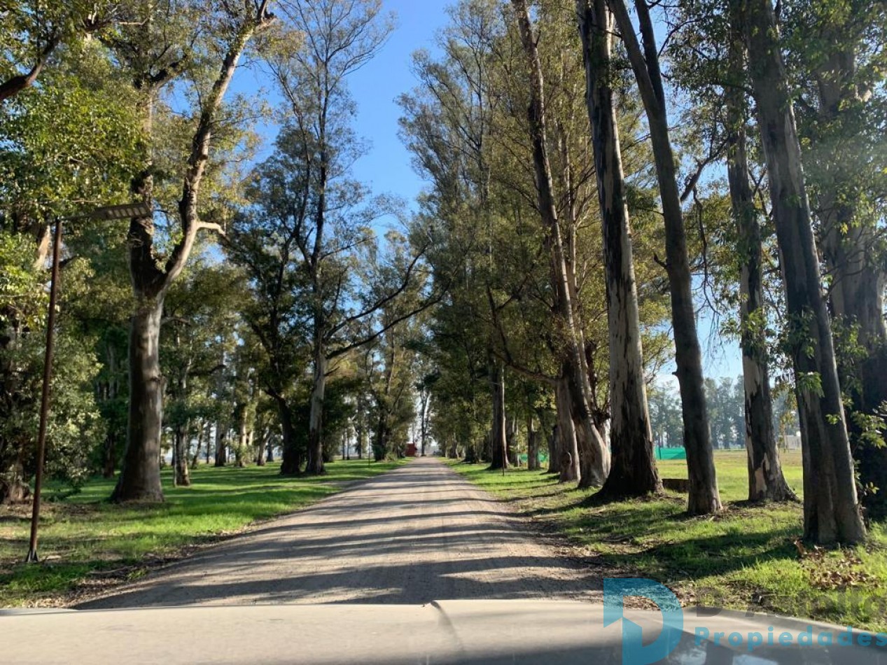Oportunidad Lote de 1320m2 Barrio Norte - 3 pino